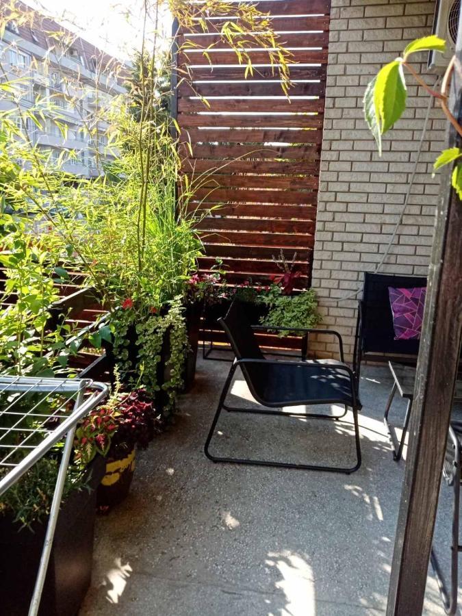 Dusica Apartmani 야고디나 외부 사진