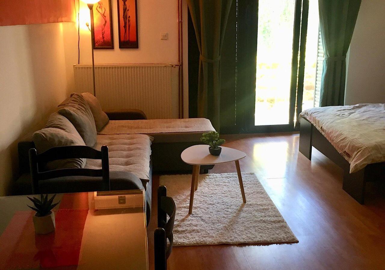 Dusica Apartmani 야고디나 외부 사진