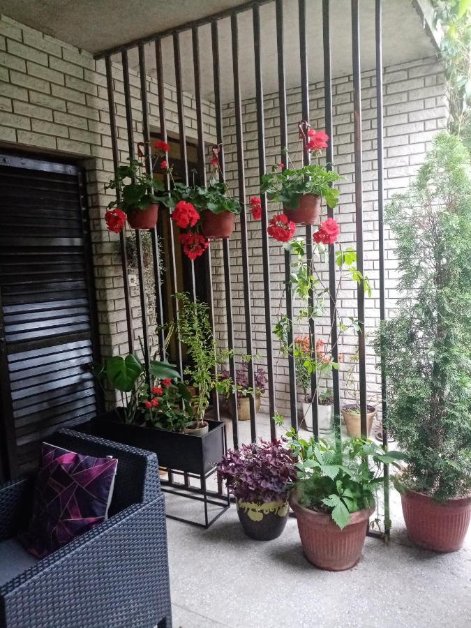 Dusica Apartmani 야고디나 외부 사진
